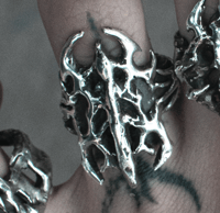 Image 1 of shadow husk³