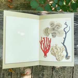Image of A La Mer - At the Sea, Illustrated Journal