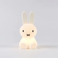 Image 1 of Miffy Bundle of Light