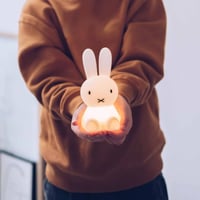 Image 2 of Miffy Bundle of Light