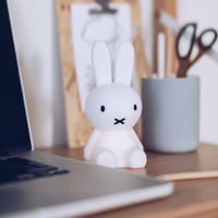 Image 3 of Miffy Bundle of Light