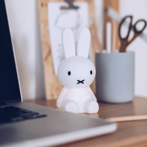 Image of Miffy Bundle of Light