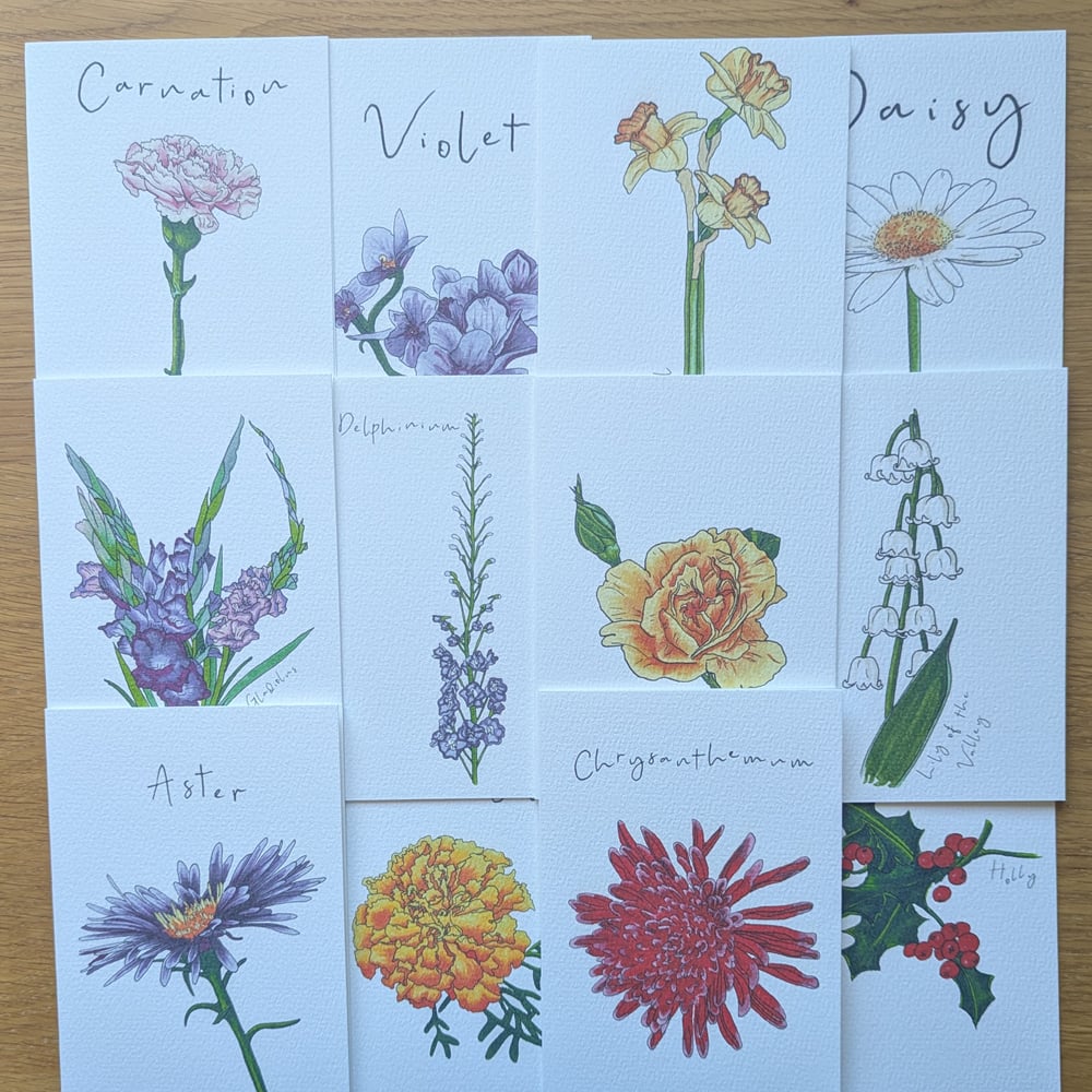 Image of Birth month flowers multipack