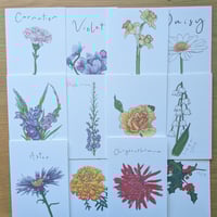Image 1 of Birth month flowers multipack