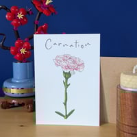 Image 2 of Birth month flowers multipack