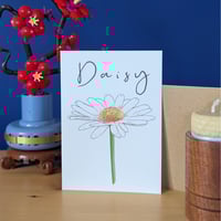 Image 5 of Birth month flowers multipack