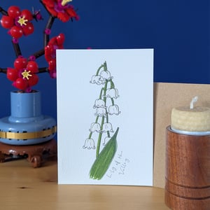 Image of Birth month flowers multipack