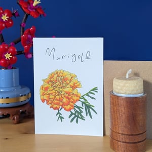 Image of Birth month flowers multipack