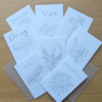 Image 1 of Multipack of 12 "paint your own" flower greeting cards