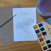 Image 10 of Multipack of 12 "paint your own" flower greeting cards