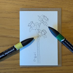 Image of Multipack of 12 "paint your own" flower greeting cards