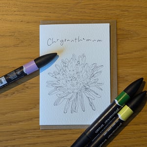 Image of Multipack of 12 "paint your own" flower greeting cards