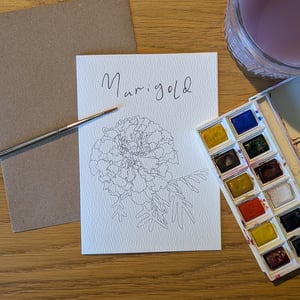 Image of Multipack of 12 "paint your own" flower greeting cards