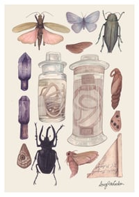 Oxford Natural History Museum A5 Print 