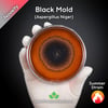 Black Mold (Aspergillus Niger) Live Mycelium Mushroom Culture Spawn Seed