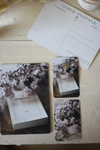 Image 2 of LES PETITS MOTS D'OR - Printemps 2025