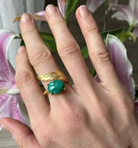 Image 1 of Anello Felce brillante
