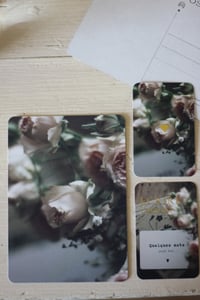 Image 3 of ROSES