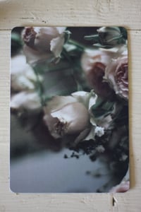 Image 1 of ROSES