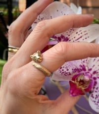 Image 2 of Anello Leonessa