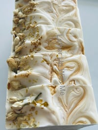 Image 2 of Baby Breath