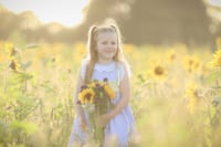 Image 4 of SUNFLOWERS { £20 RETAINER ONLY }