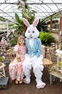 Image 14 of EASTER BUNNY minis