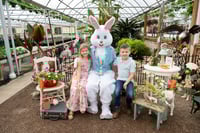 Image 16 of EASTER BUNNY minis