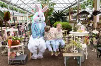 Image 19 of EASTER BUNNY minis