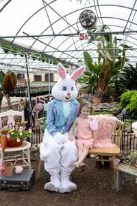 Image 20 of EASTER BUNNY minis