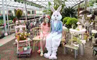 Image 22 of EASTER BUNNY minis