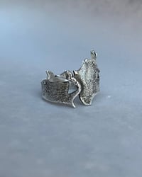 Image 1 of border ring