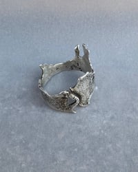 Image 2 of border ring