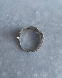 Image 3 of border ring