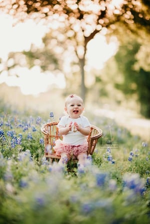Image of Bluebonnet minis Houston