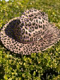 Leopard Fedora w/braided trim