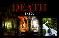 The Afterlife 