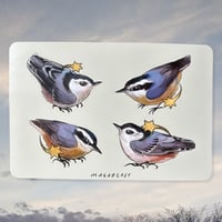 starry nuthatches sticker sheet