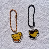 Adopt-A-Duck!