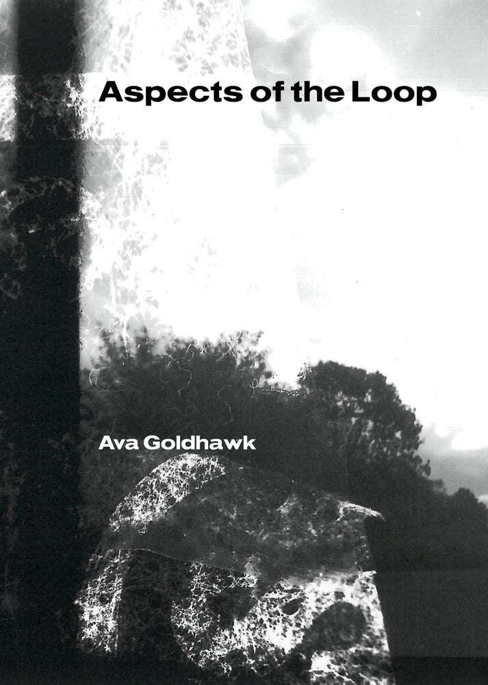 Image of Aspects of the Loop