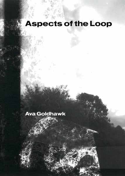 Image of Aspects of the Loop