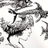 Image 1 of Fishes