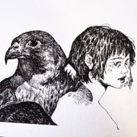 Image 1 of Falcon