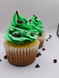 Image 1 of Mint Chocolate Chip