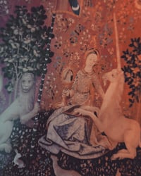 Image 4 of The Unicorn Tapestries 