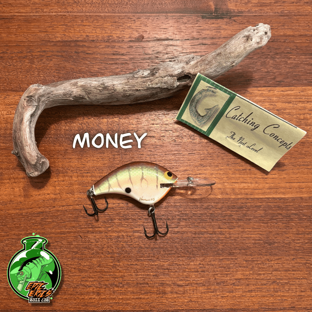 2005 and 2011 Catching Concepts Deep Diver - Image 3