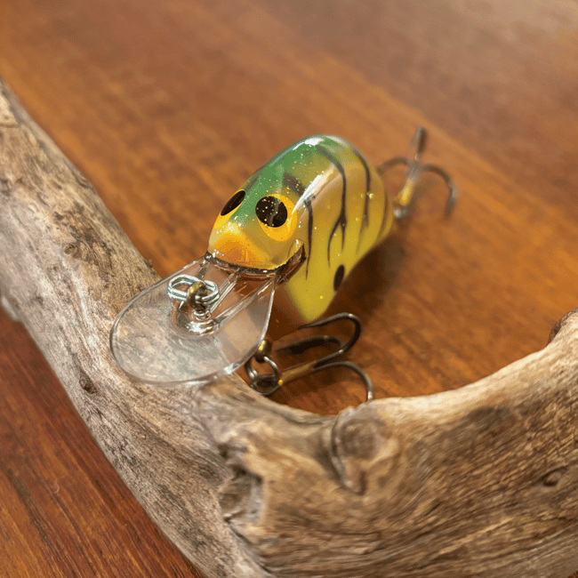 Catching Concepts Medium Diver