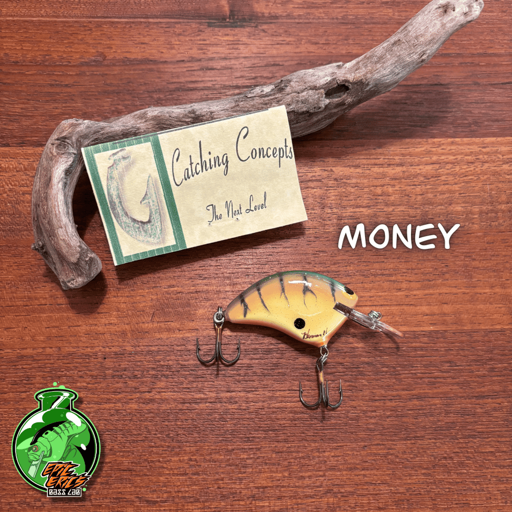 Catching Concepts Medium Diver