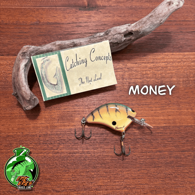 Catching Concepts Medium Diver