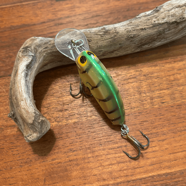 Catching Concepts Medium Diver